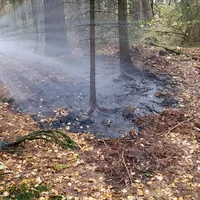 20181025_154549.jpg