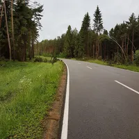 556.jpg