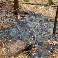 20181025_154644.jpg